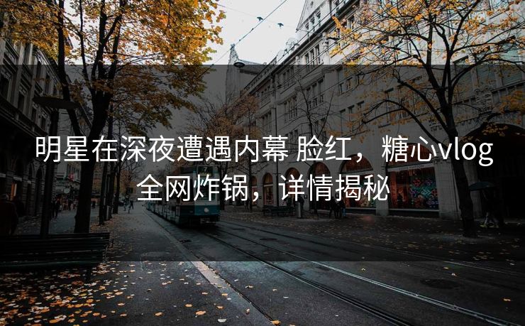 明星在深夜遭遇内幕 脸红，糖心vlog全网炸锅，详情揭秘
